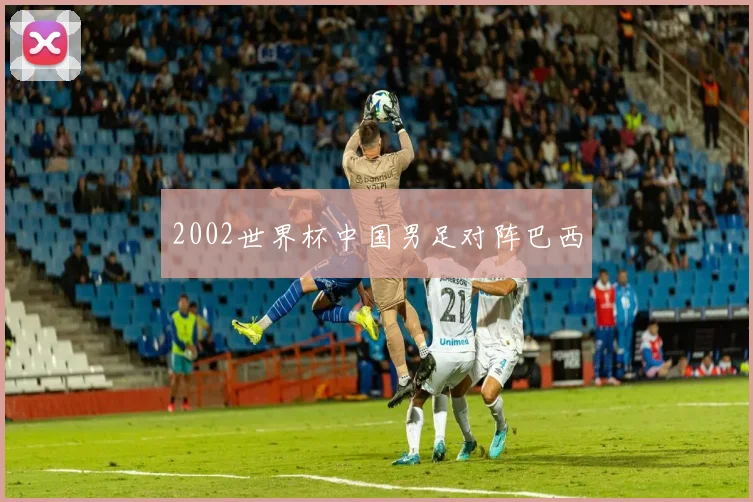 2002世界杯中国男足对阵巴西