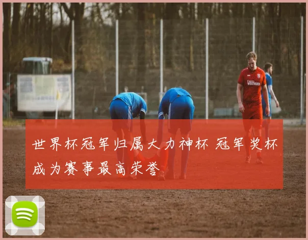 世界杯冠军归属大力神杯 冠军奖杯成为赛事最高荣誉