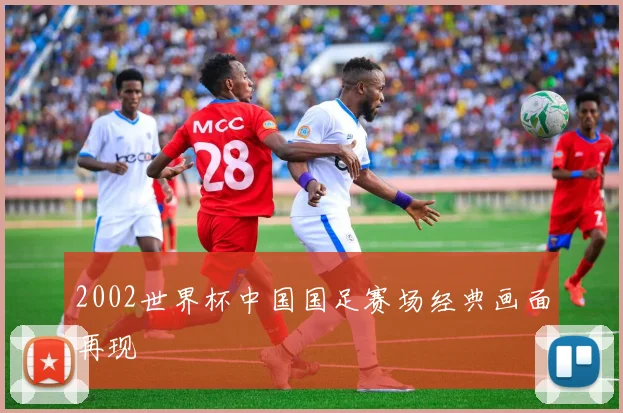 2002世界杯中国国足赛场经典画面再现