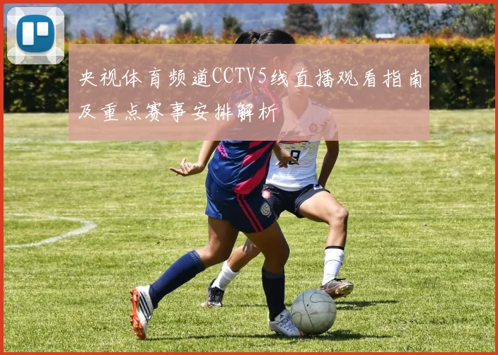 央视体育频道CCTV5线直播观看指南及重点赛事安排解析