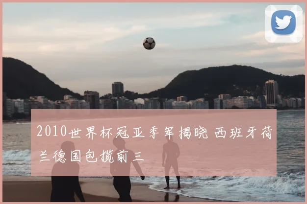 2010世界杯冠亚季军揭晓 西班牙荷兰德国包揽前三
