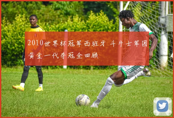 2010世界杯冠军西班牙 斗牛士军团黄金一代夺冠全回顾