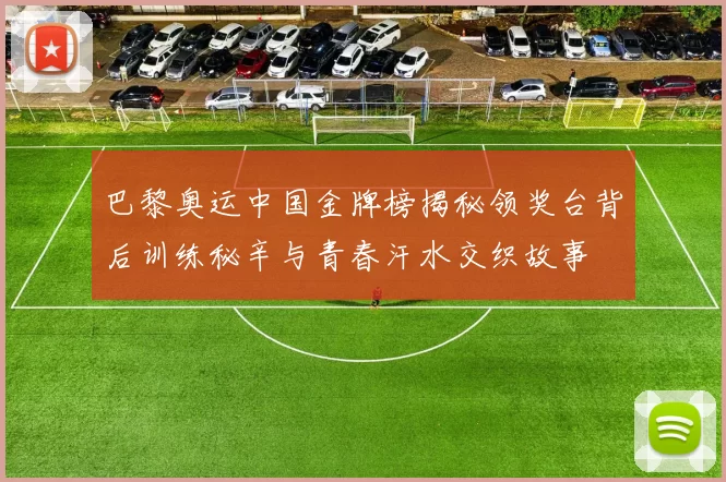 巴黎奥运中国金牌榜揭秘领奖台背后训练秘辛与青春汗水交织故事