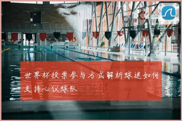 世界杯投票参与方式解析球迷如何支持心仪球队