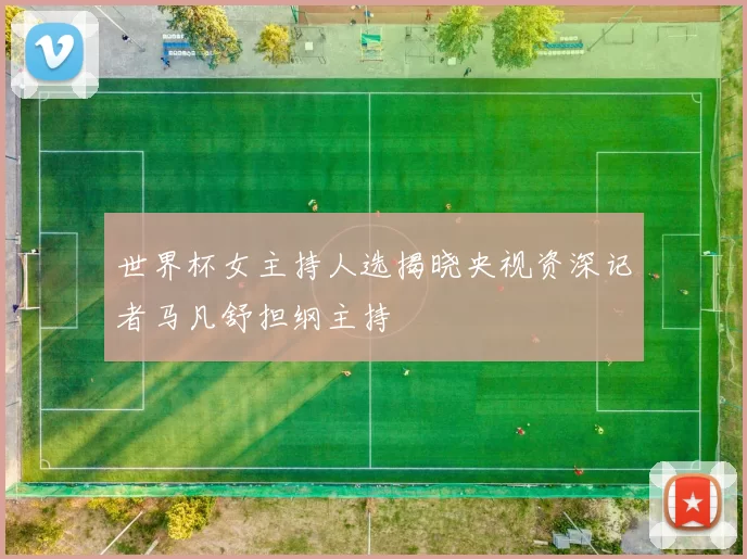 世界杯女主持人选揭晓央视资深记者马凡舒担纲主持