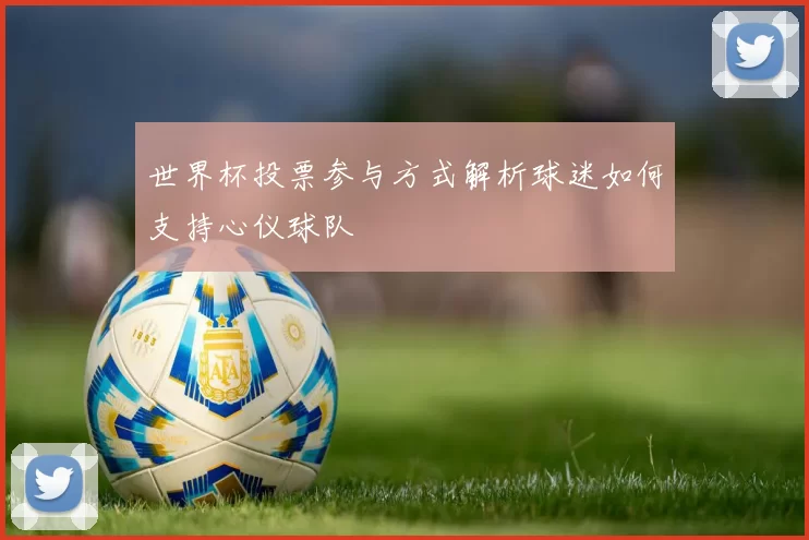 世界杯投票参与方式解析球迷如何支持心仪球队