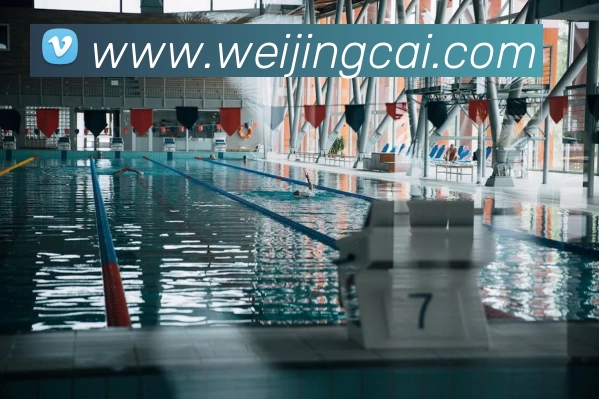 多媒体互动体验